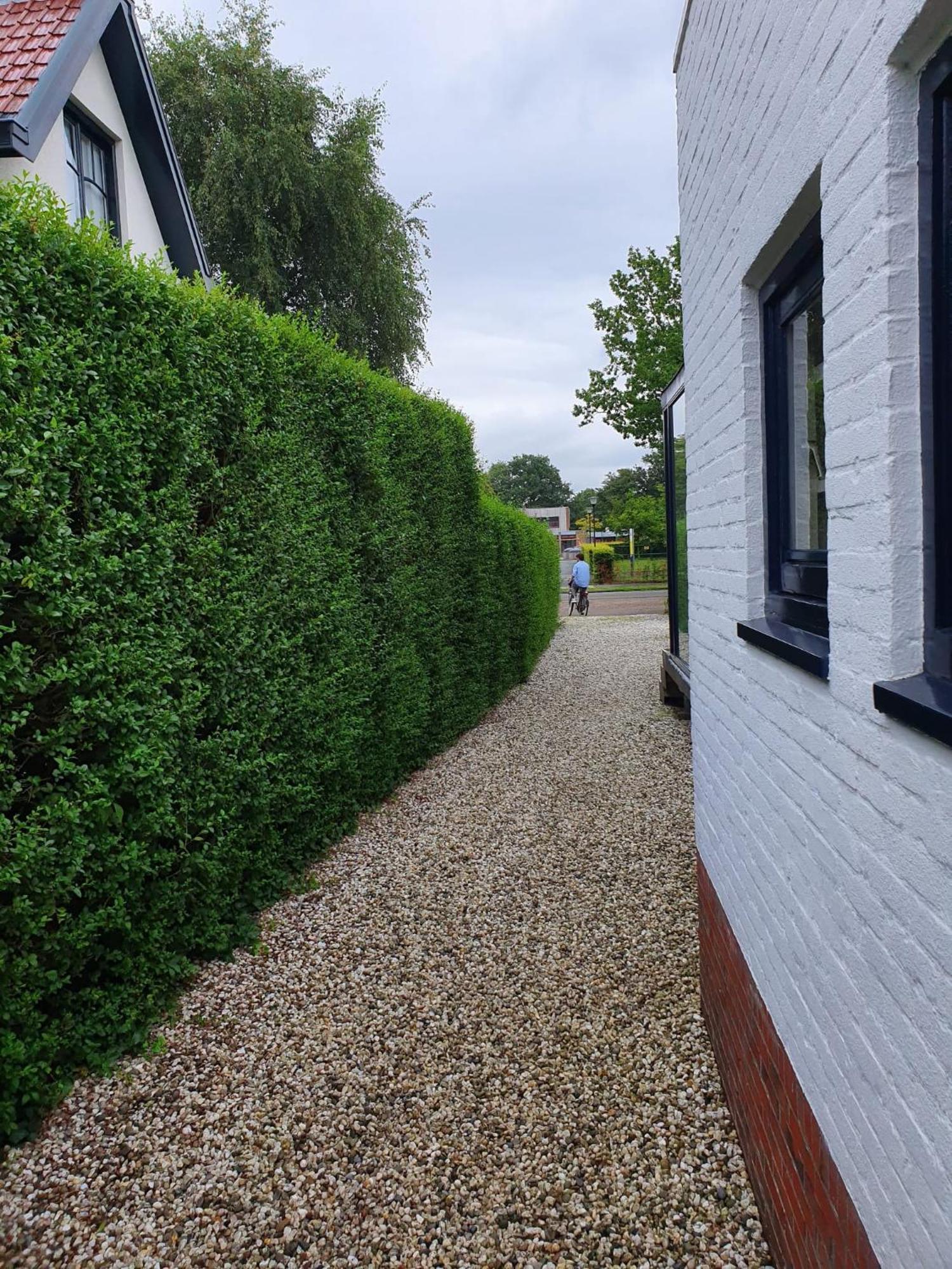 Zelfstandig Gastenverblijf In Het Groene Haren Nabij Groningen מראה חיצוני תמונה